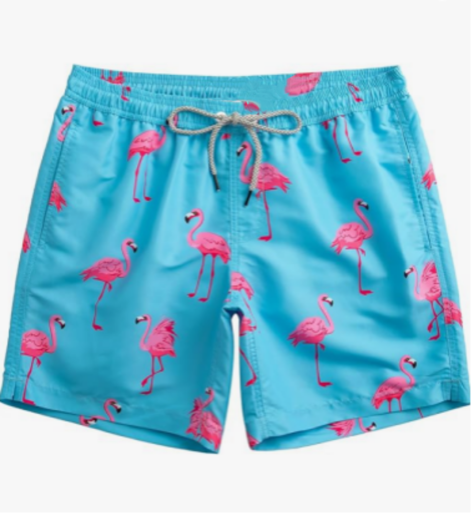 Men's swimming shorts